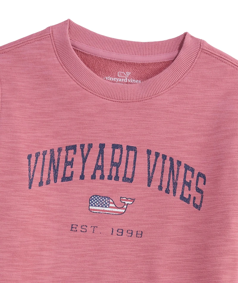 OUTLET Boys' Americana Whale Slub Crewneck Pullover