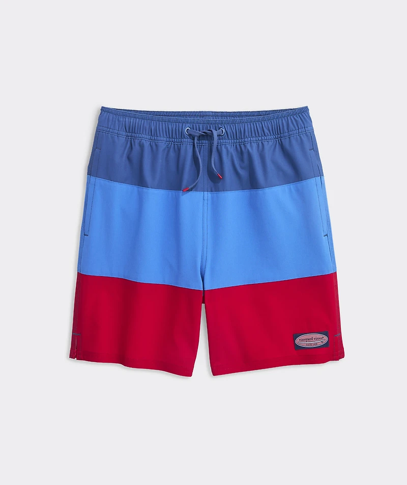 Boys’ Colorblock Chappy Swim Trunks