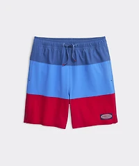 Boys’ Colorblock Chappy Swim Trunks