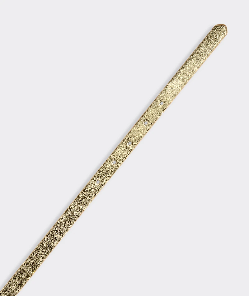 Metallic Belt
