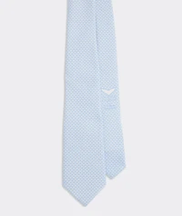 Boys' Micro Whales Silk Tie