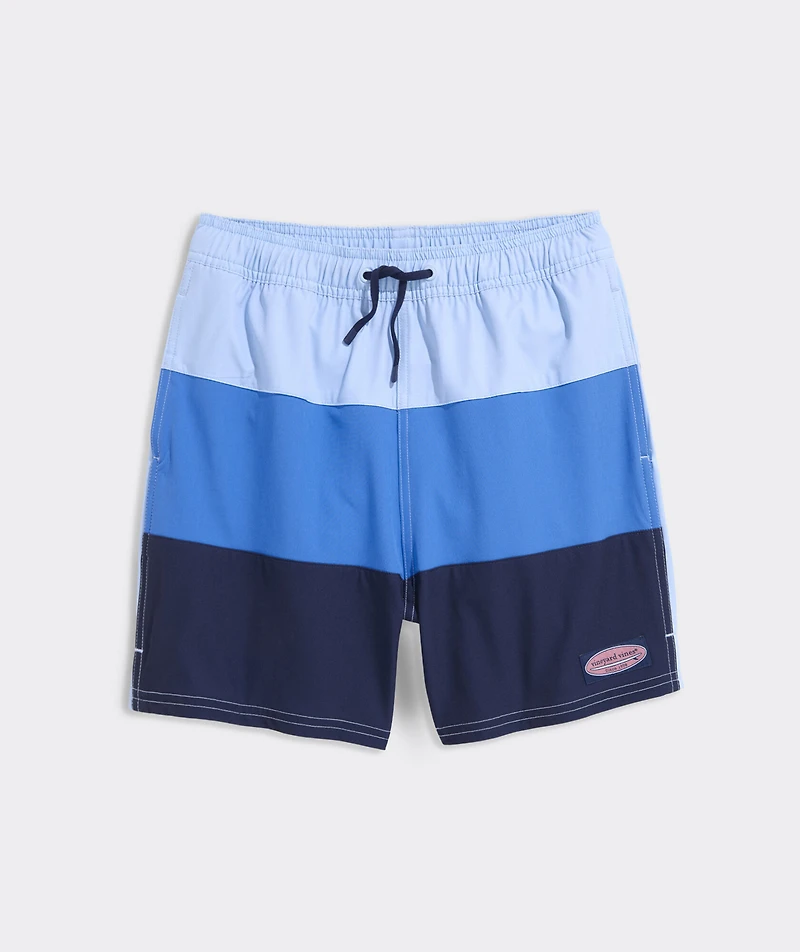 Boys' Colorblock Chappy Swim Trunks