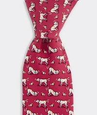 Boys' Play Fetch Silk Tie