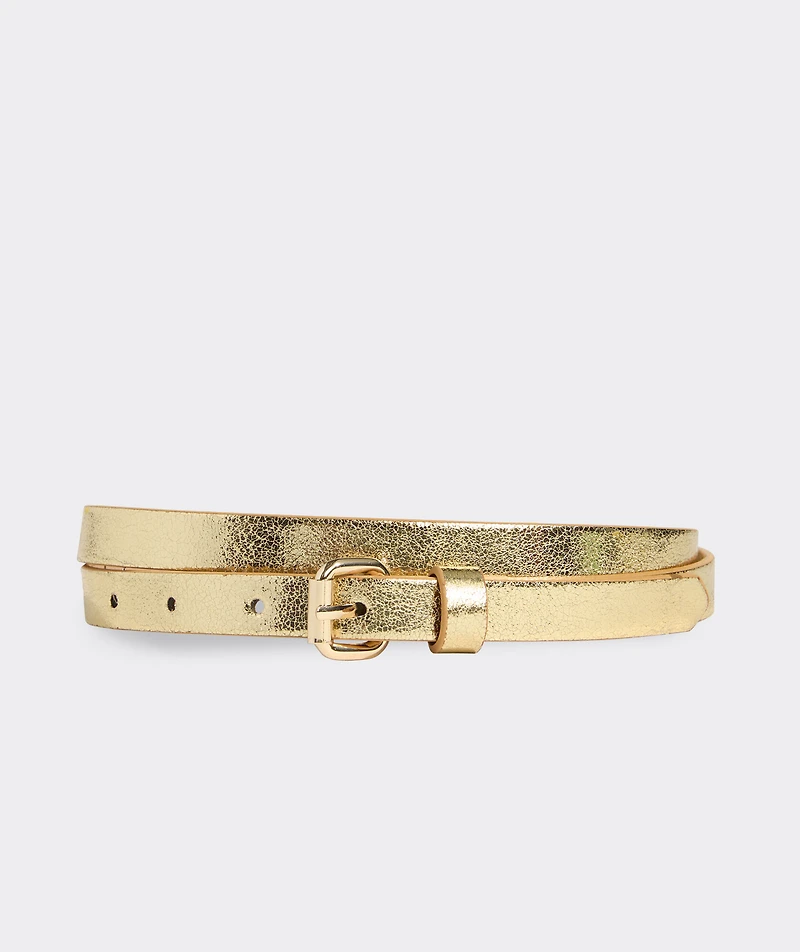Metallic Belt