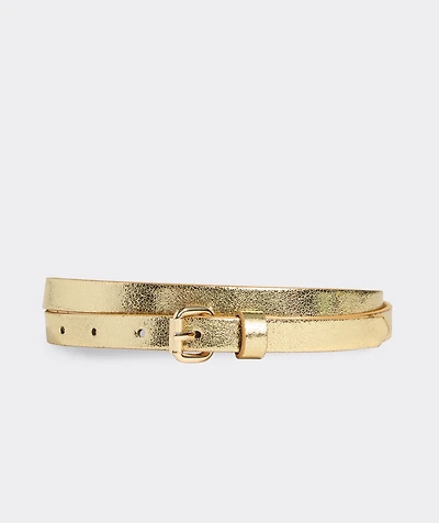Metallic Belt