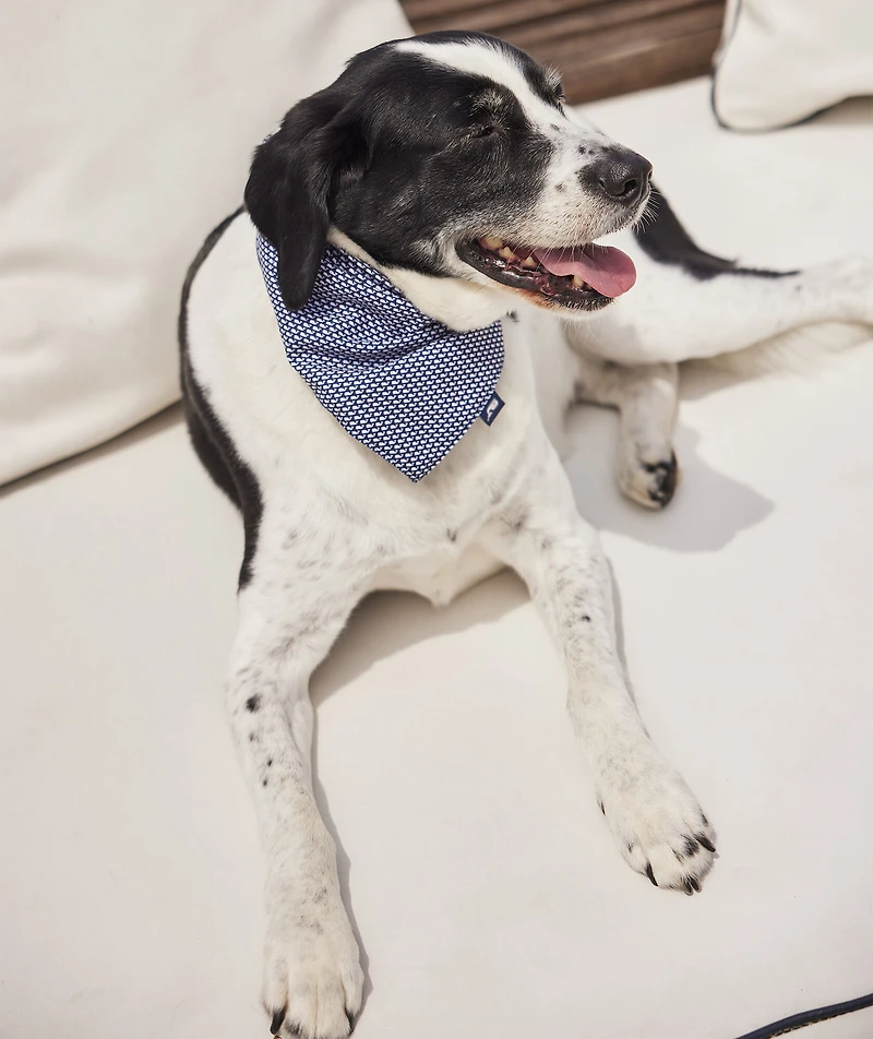 Micro Whale Pet Bandana