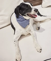 Micro Whale Pet Bandana
