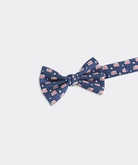 Boys' Flags & Stars Printed Bow Tie
