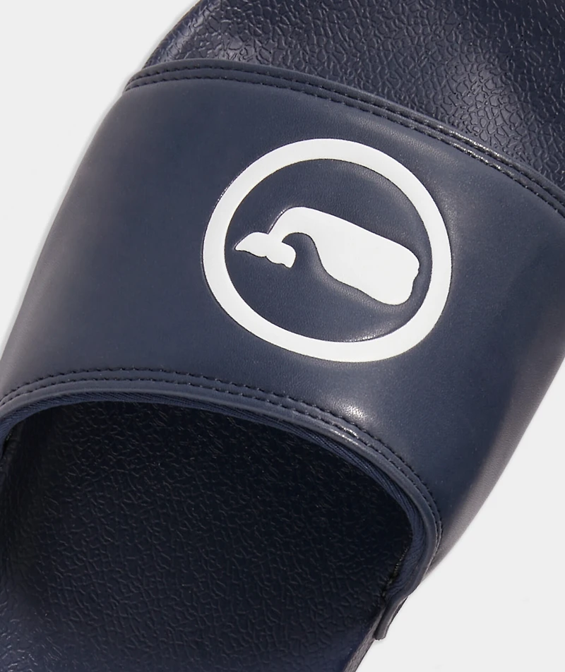 Whale Dot Pool Slides