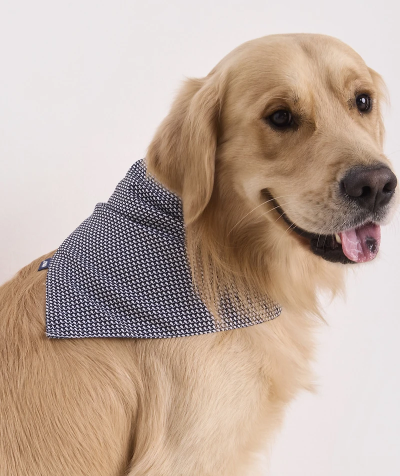 Micro Whale Pet Bandana