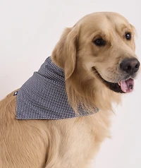 Micro Whale Pet Bandana