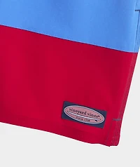 Boys’ Colorblock Chappy Swim Trunks