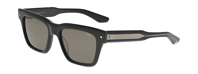 ASV 2502