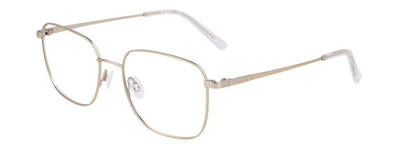 FLEXON H6070