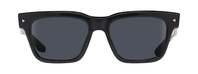 ASV 2502