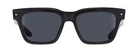 ASV 2502