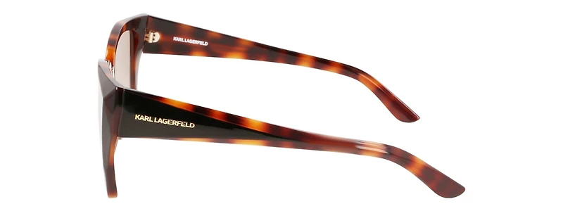 KL6072S