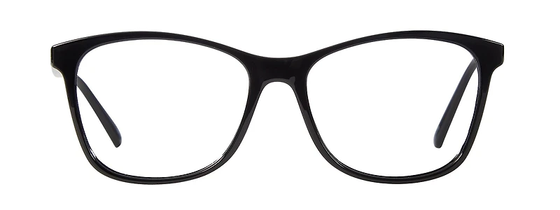 WP 8101