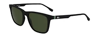 L6041S