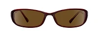 WP 2010