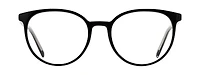 WP 20205
