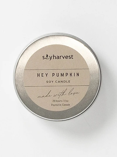 Hey Pumpkin - 3 Wick Candle