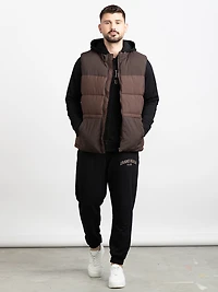 Men's Puffer Vest
