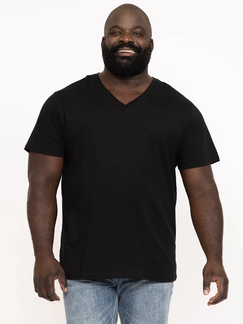Men's Everyday V-Neck Tee