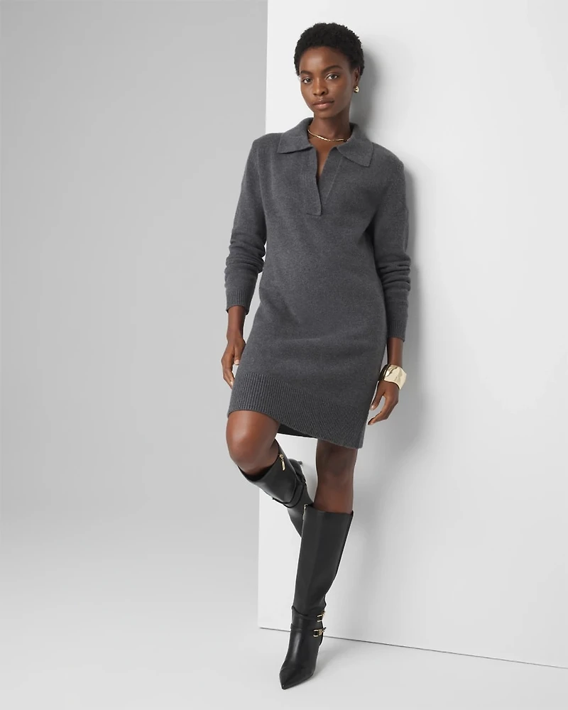 Polo Sweater Dress