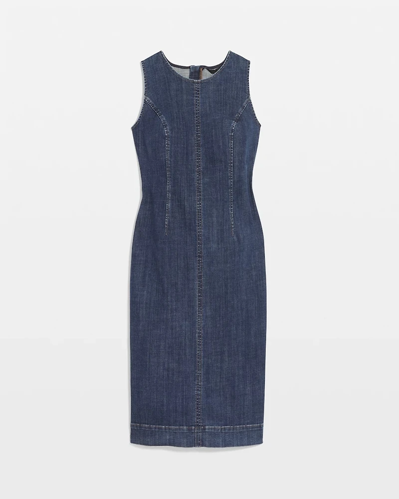 Petite Denim Sheath Dress