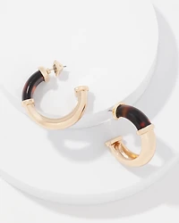 Gold and Tortoiseshell Hoop Earrings
