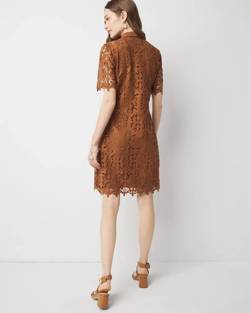 Petite Lace Shirt Dress