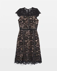 Short Sleeve Lace Fit-and-Flare Dress
