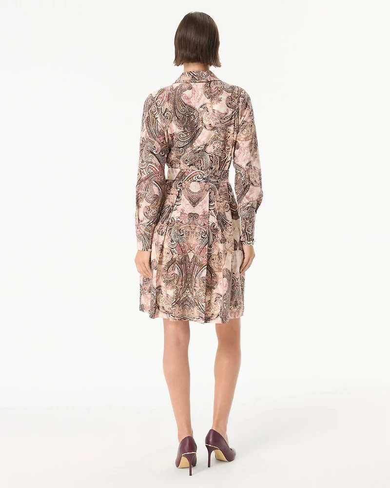 Petite Belted Button Front Shirt Dress