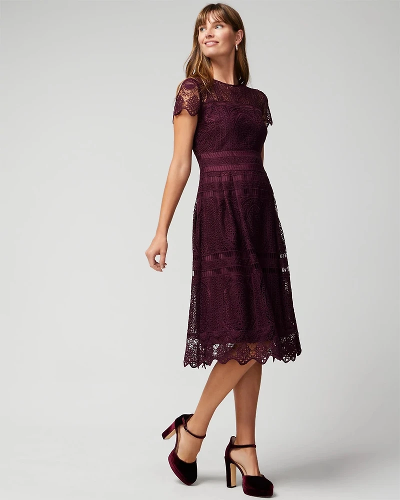 Embroidered Lace Fit-and-Flare Dress