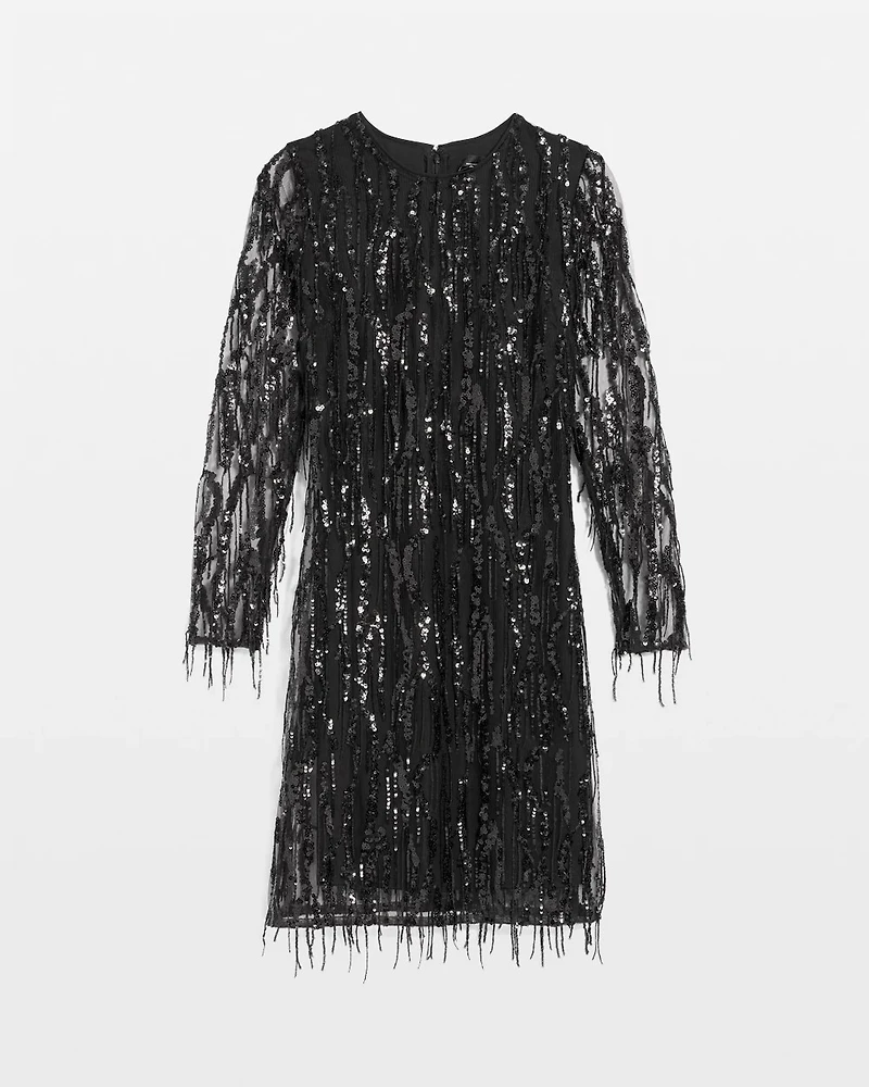 Sequin Fringe Dress
