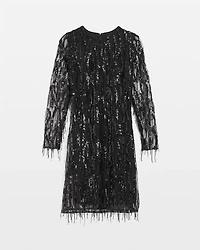 Sequin Fringe Dress