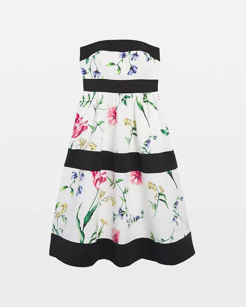 Petite Strapless Floral Contrast Fit & Flare Dress