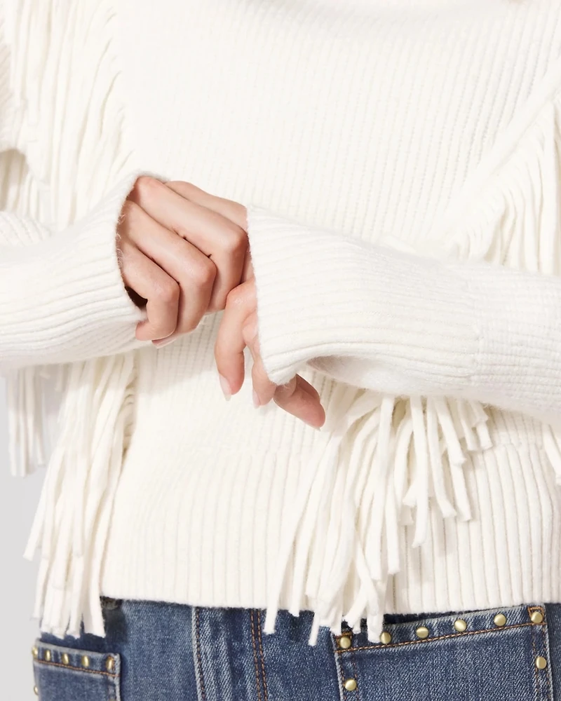Fringe Turtleneck Sweater