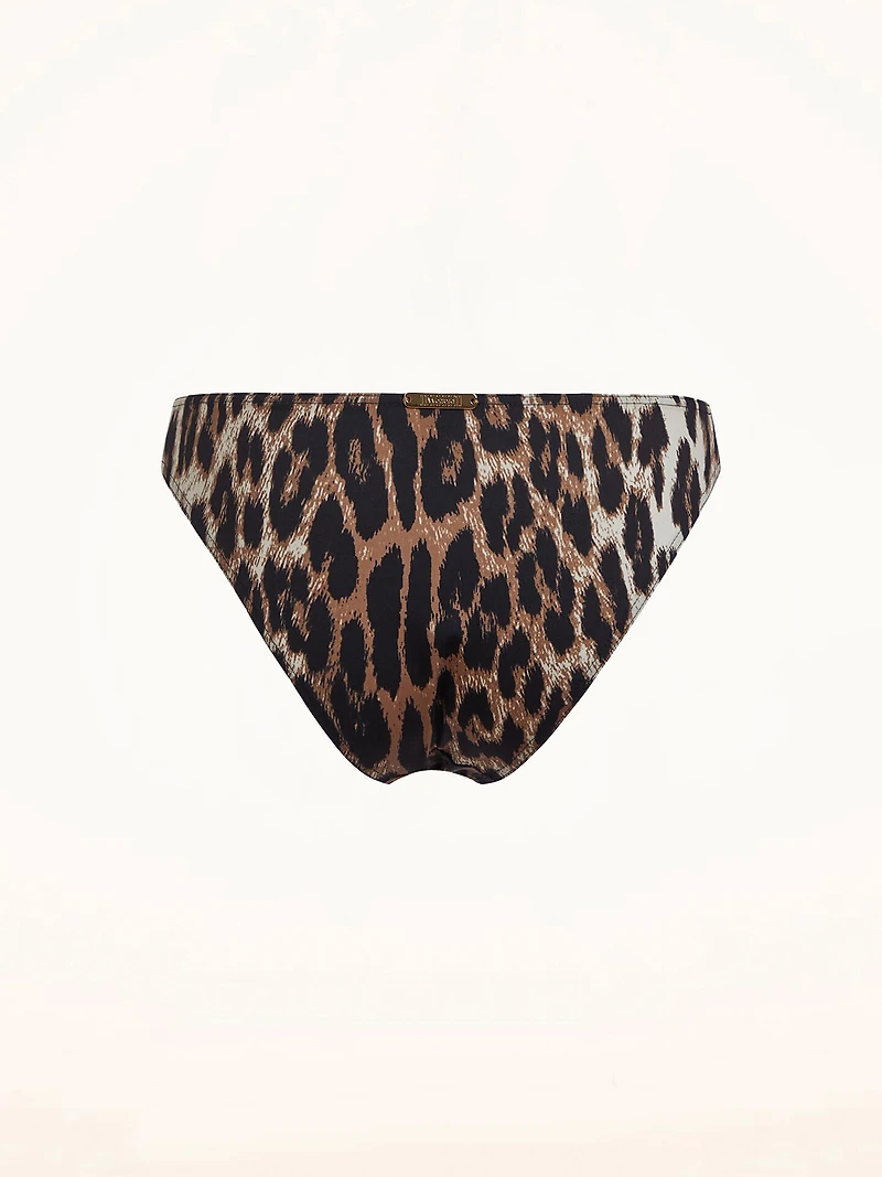 Sculpt Essentials Brief