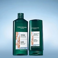 Shampooing Texturisant Volume