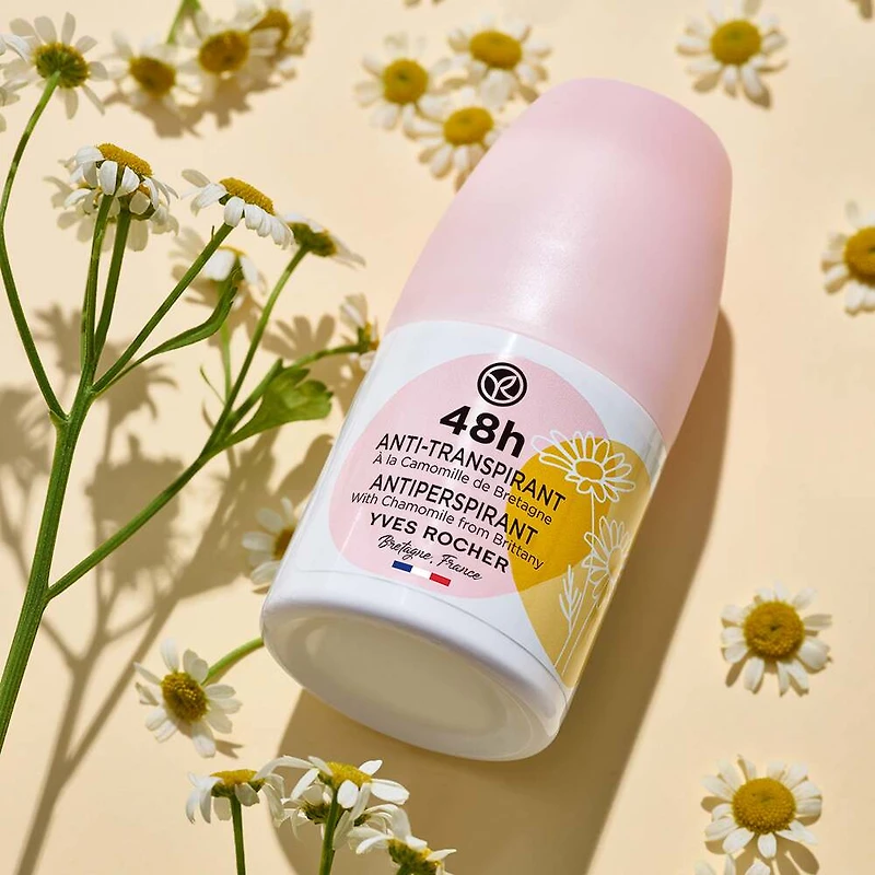 48H Antiperspirant with Chamomile from Brittany