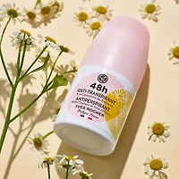48H Antiperspirant with Chamomile from Brittany