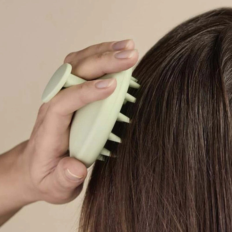Brosse de Massage pour Cuir Chevelu
