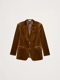 Velvet Blazer