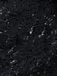 Lace Button-Front Top