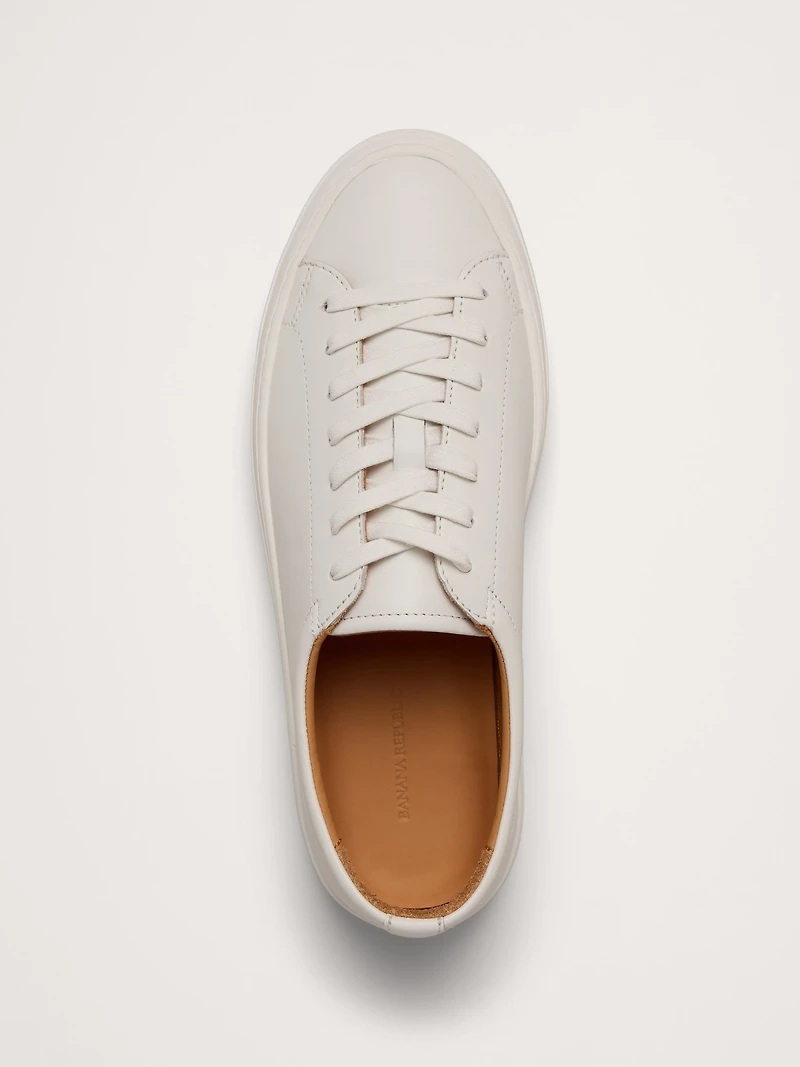 Nicklas Leather Sneaker