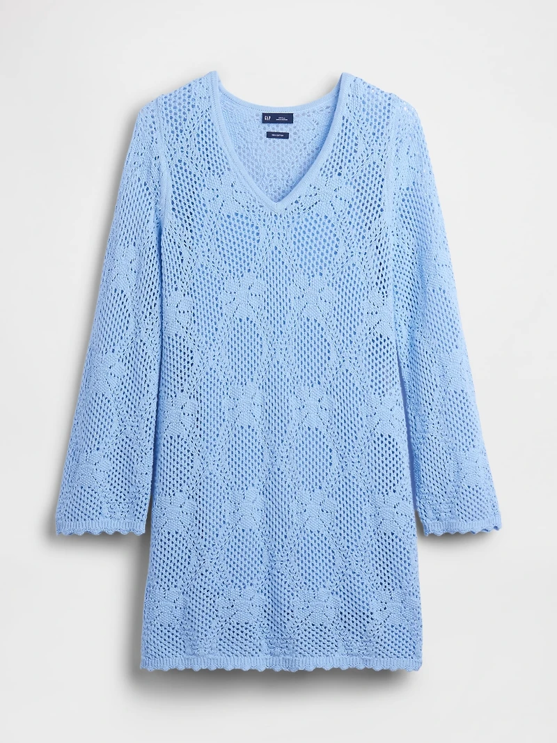 Pointelle Mini Sweater Dress