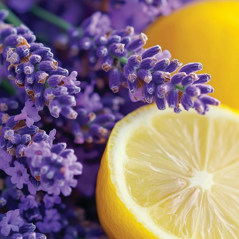 Lemon Lavender