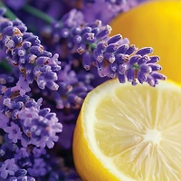 Lemon Lavender